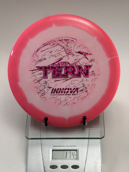 Innova Halo Star Tern Distance Driver - Swirly White w/ Pink Rim